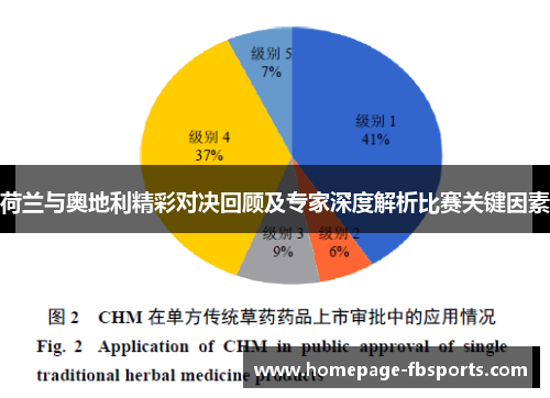 荷兰与奥地利精彩对决回顾及专家深度解析比赛关键因素