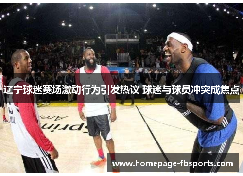 辽宁球迷赛场激动行为引发热议 球迷与球员冲突成焦点