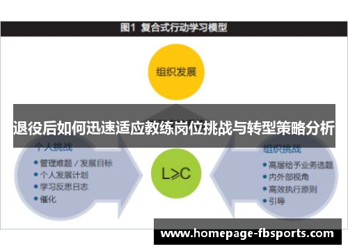 退役后如何迅速适应教练岗位挑战与转型策略分析